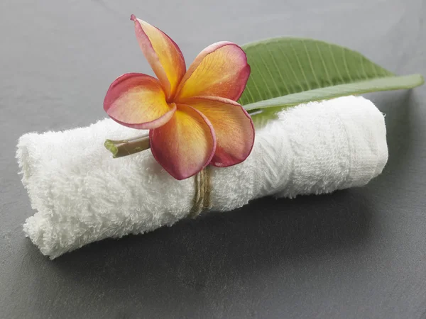 Frangipani virág spa szimbólum — Stock Fotó