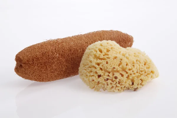 Natural sponges on white — Stock Photo, Image