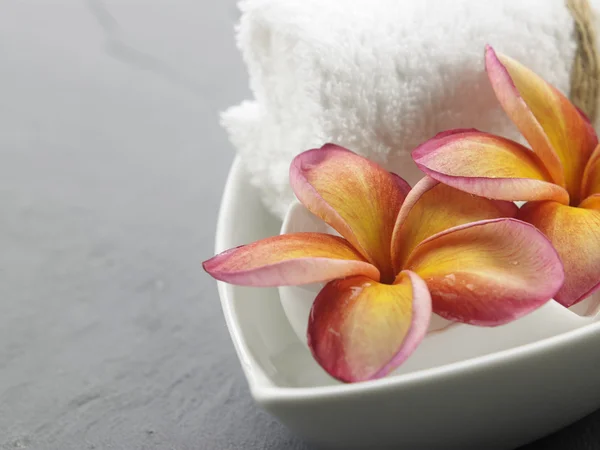 Frangipani çiçek spa sembolü — Stok fotoğraf