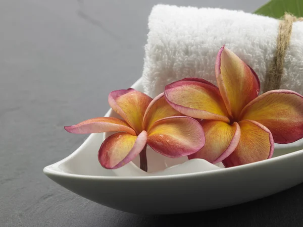 Frangipani flores símbolo de spa —  Fotos de Stock