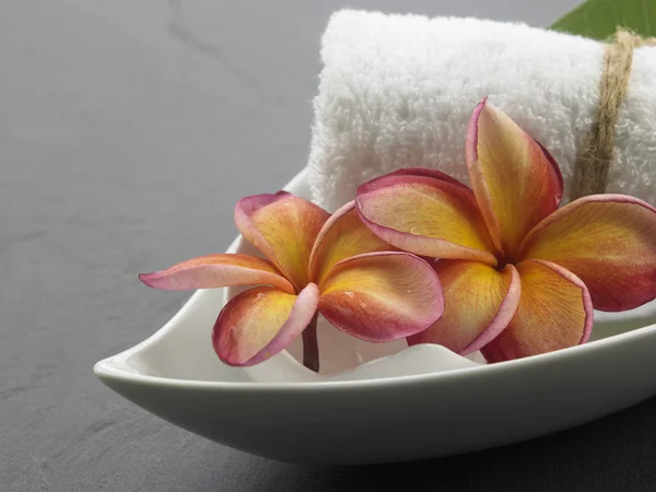 Frangipani blommor spa symbol — Stockfoto