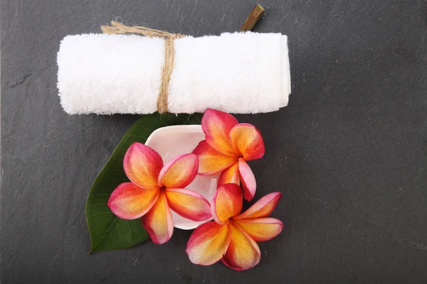 Frangipani çiçek spa sembolü — Stok fotoğraf