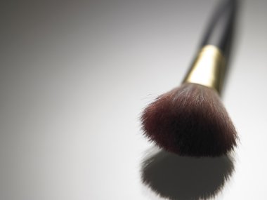 Makyaj fırça toz