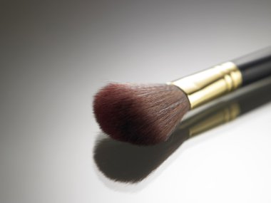 Makyaj fırça toz