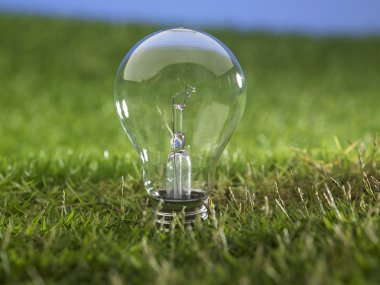 Ampul çimenlerin üzerinde