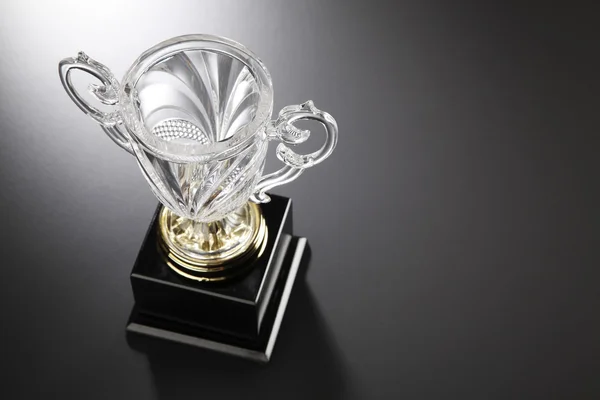 Bellissimo trofeo di cristallo — Foto Stock