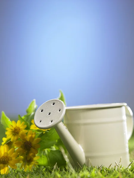 Mini watering can — Stock Photo, Image