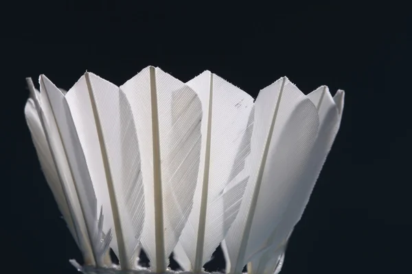 White shuttlecock  for badminton — Stock Photo, Image