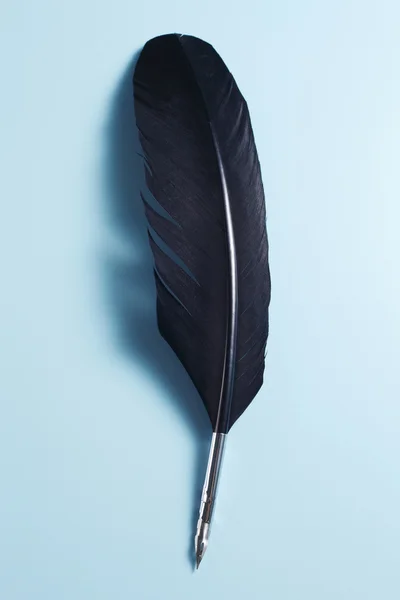 Pluma de pluma con pluma de fuente de metal — Foto de Stock