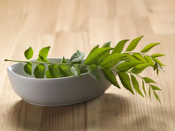 Färska curry leaf i skål — Stockfoto