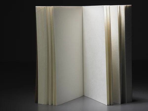 Book with blank page — Stock Photo, Image