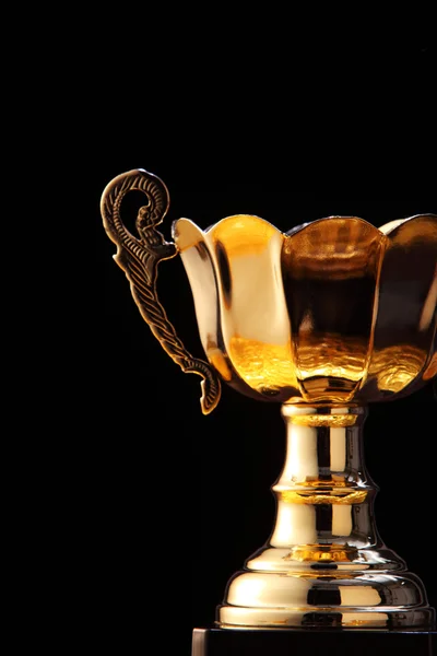 Gold champion cup — Stock Photo, Image