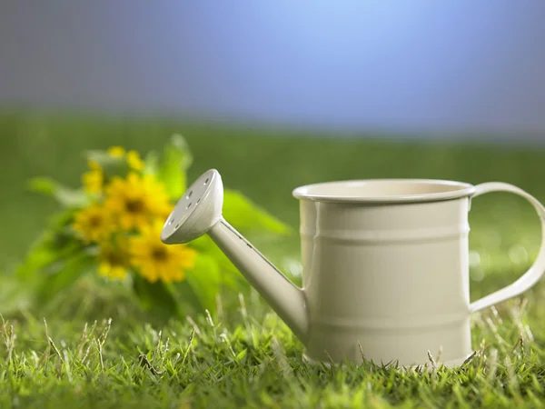 Watering can on the grass — Stock Photo, Image