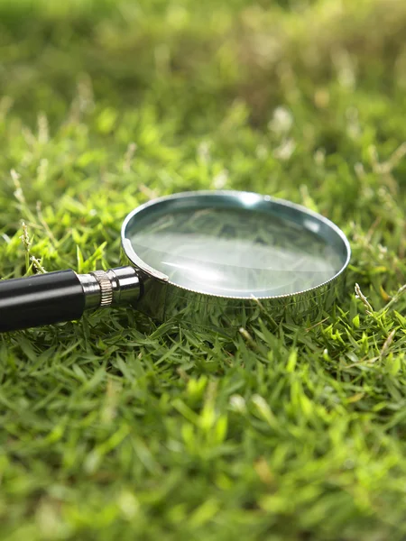 Magnifying glass on the grass — Stock Photo, Image