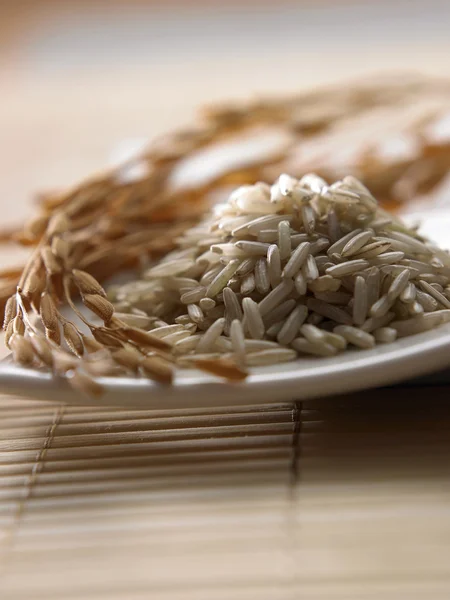 Hnědá rýže a rýžových — Stock fotografie