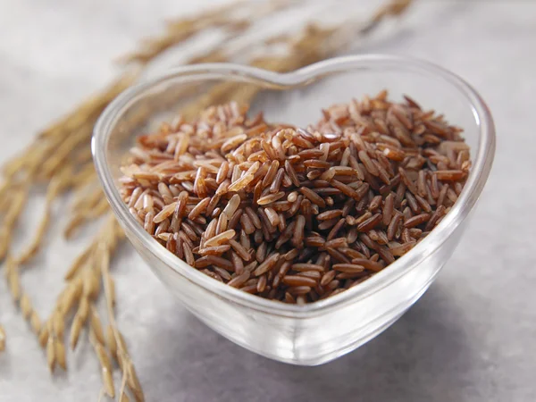 Bowl of uncook brown rice and paddy — Stock Photo, Image