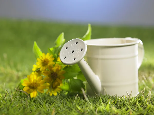 Watering can with flowers — Stock Photo, Image