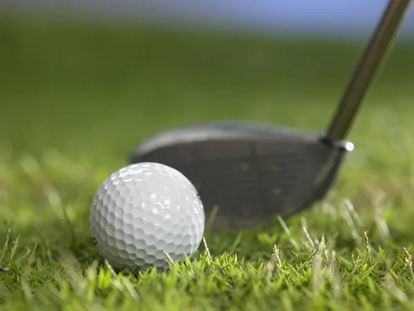 Golf ball and golf club — Stock Photo, Image