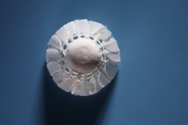 Badminton için beyaz raketle