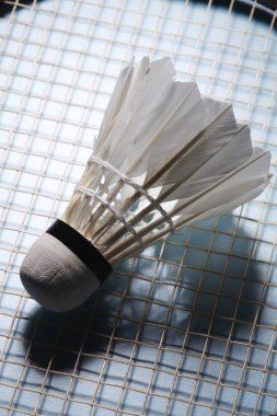 Badminton Raket ve raketle