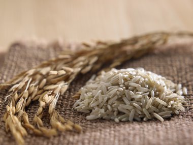 Kahverengi pirinç üzerinde çadır bezi