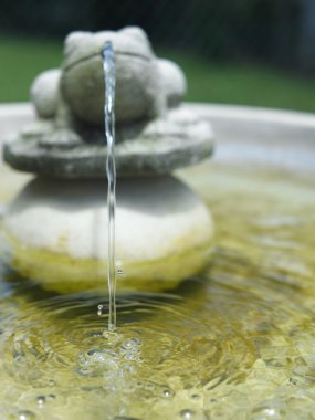 Kurbağa şeklinde su özelliği