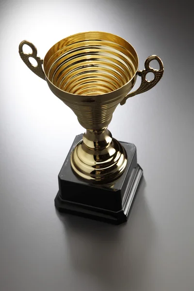 Χρυσό Κύπελλο πρωταθλητής — Φωτογραφία Αρχείου