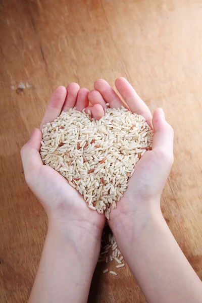 Hand holding rice — Stock Photo, Image