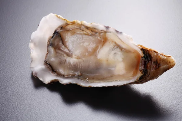 One fresh Oyster — Stock Photo, Image