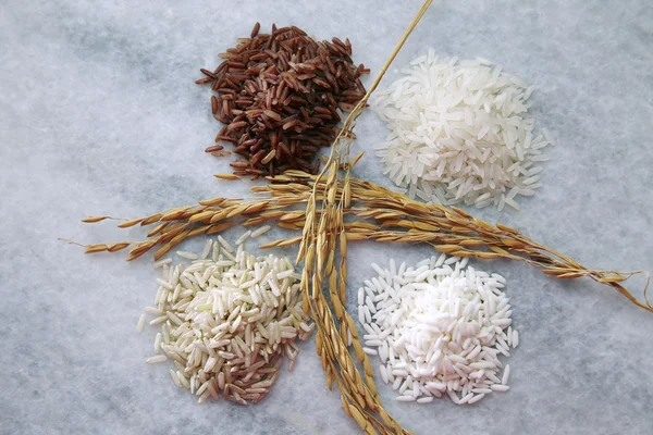 Varietà di riso diverse — Foto Stock