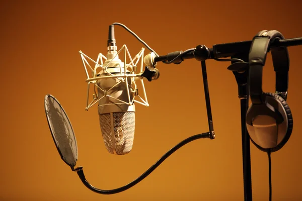 Professional microphone in the recording — Stock Photo, Image