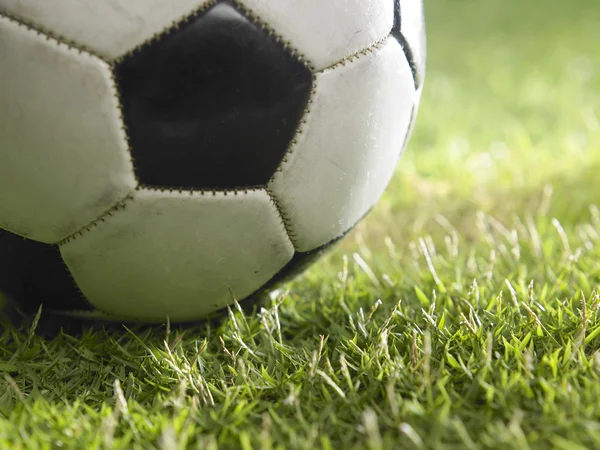 Çimlerin üzerinde futbol topu — Stok fotoğraf