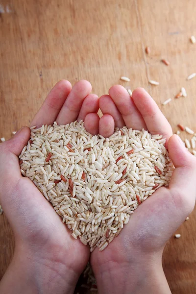 Hand holding rice — Stock Photo, Image