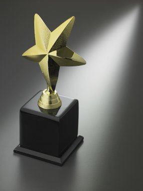 altın yıldız Ödülü