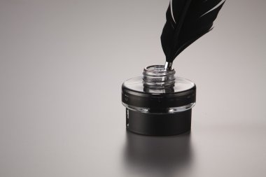 Retro InkWell tüy ile