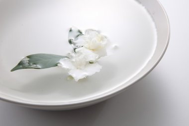 Yasemin çiçekleri kase