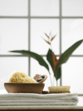 Banyo odasında sünger