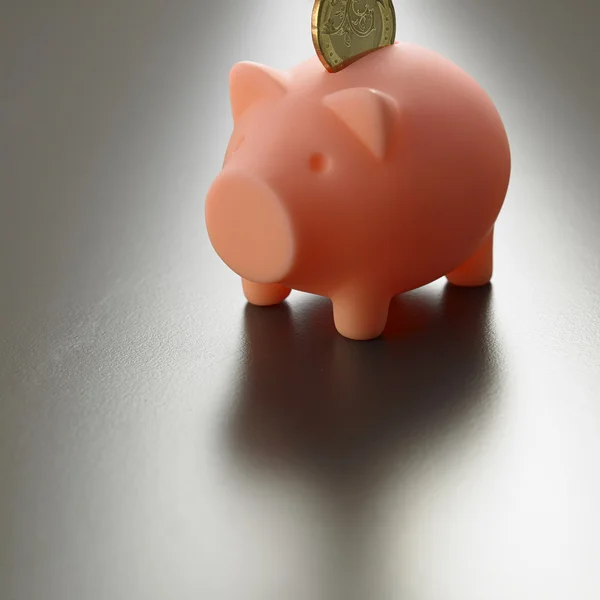 Pink Piggy bank — Stock Photo, Image