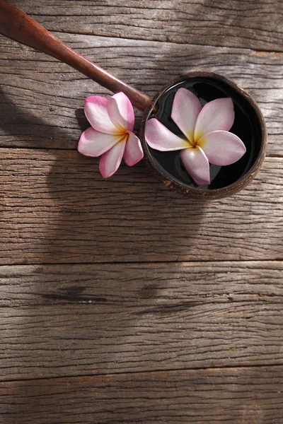 Frangipani fiore e guscio di cocco — Foto Stock