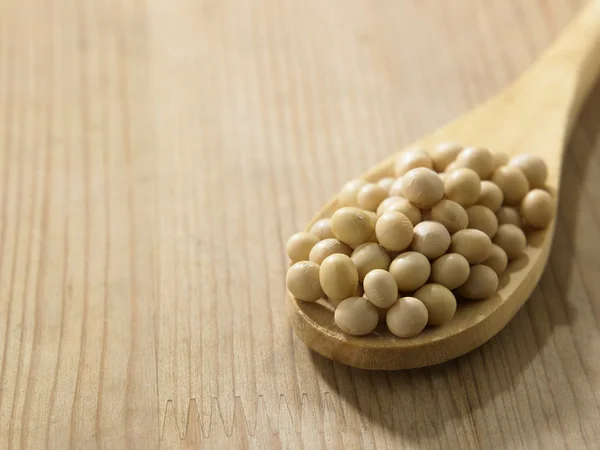 Spoon full of the soy beans — Stock Photo, Image