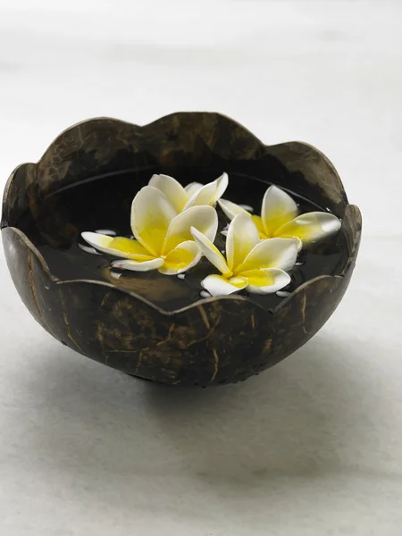 Coconut bowl with frangipani flower — Stock Photo, Image