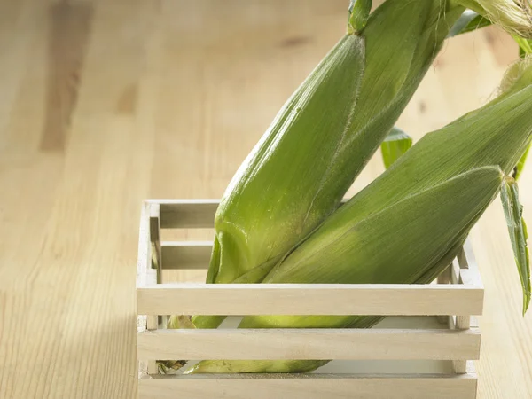 Zelený zralá kukuřice — Stock fotografie