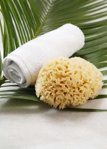 Natural sponge and towel — Stock Photo, Image