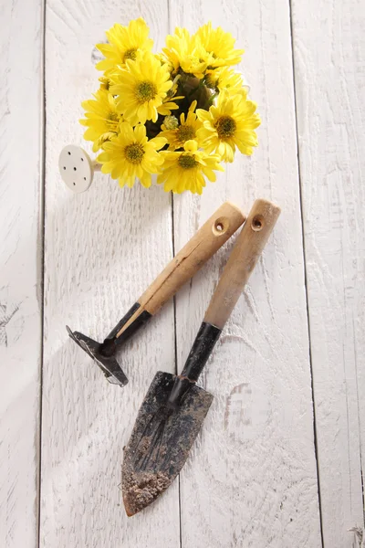 Herramientas de jardinería en suelo de madera — Foto de Stock