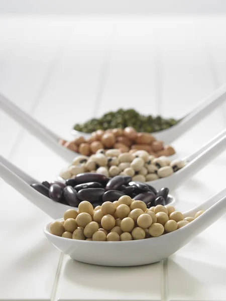 Variety of beans group — Stock Photo, Image