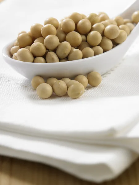 Spoon full of the soy beans — Stock Photo, Image