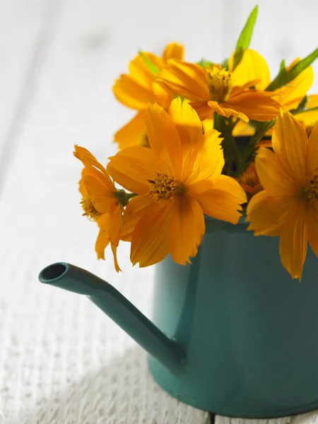Kwiat na mini konewka — Zdjęcie stockowe