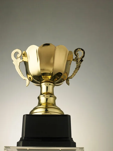 Close up champion golden trophy — Stock Photo, Image