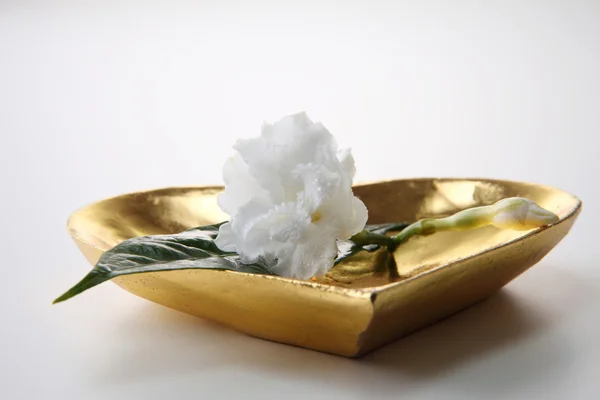 Цветок жасмина в золотом сердце — стоковое фото