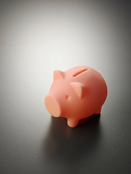 Little piggy bank — Stock Photo, Image